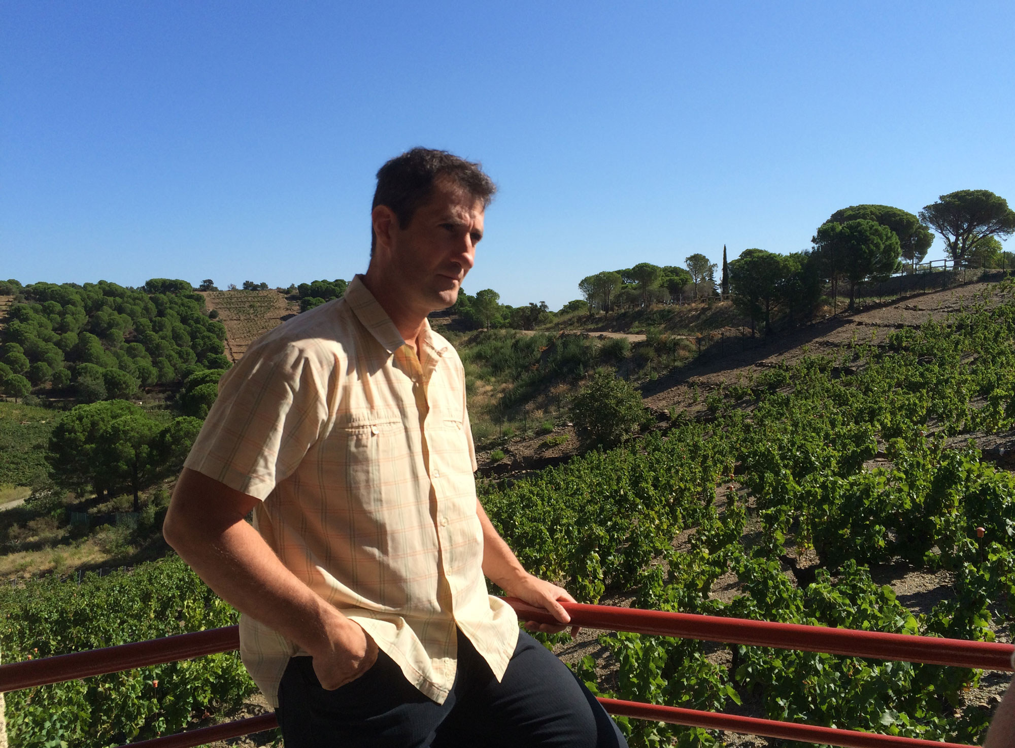 カーヴ・ドゥ・ラベ・ルス